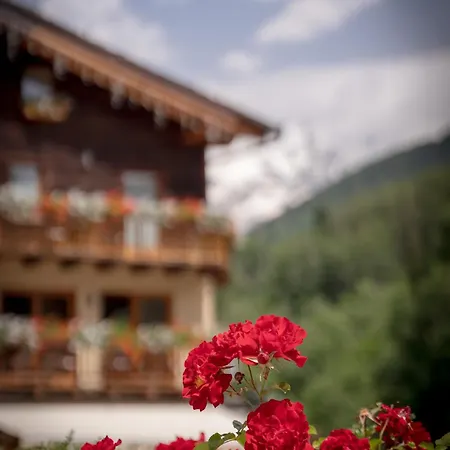 Bellevue Hotel
